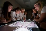 Nursing students looking at a skeleton on a screen